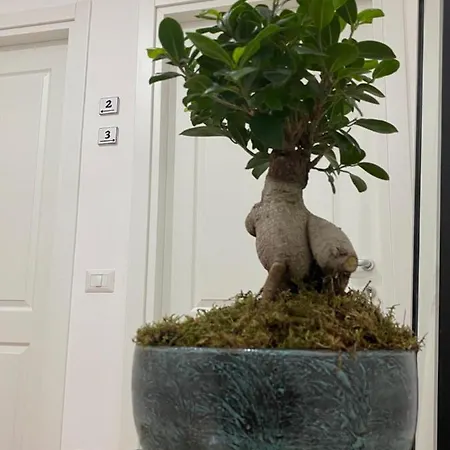 La Maison Derriere Bed & Breakfast 4*