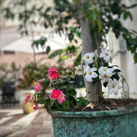 Bed & Breakfast La Maison Derriere 4*