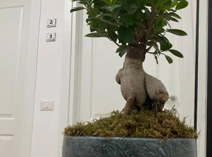 La Maison Derriere Nocleg ze śniadaniem 4*