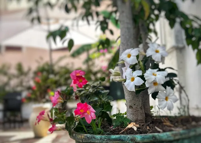 Nocleg ze śniadaniem La Maison Derriere 4*